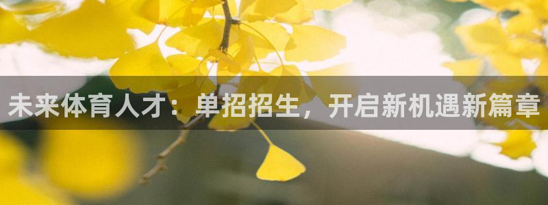 未来体育人才：单招招生，开启新机遇新篇章