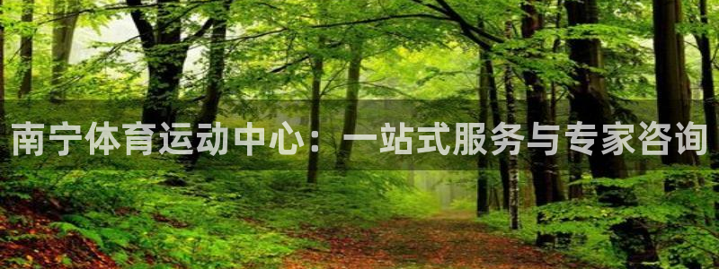 南宁体育运动中心：一站式服务与专家咨询