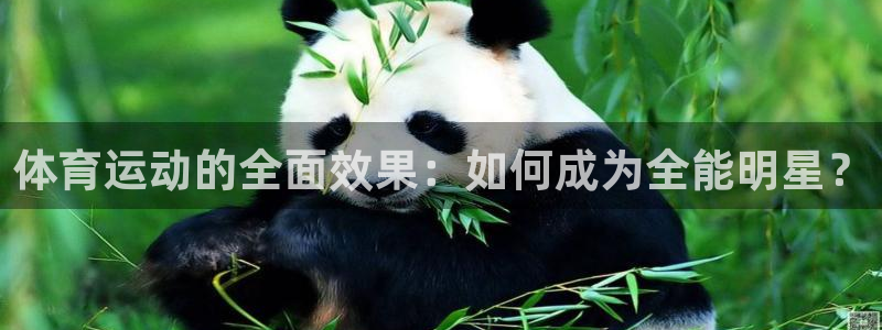 体育运动的全面效果：如何成为全能明星？
