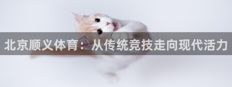 北京顺义体育：从传统竞技走向现代活力