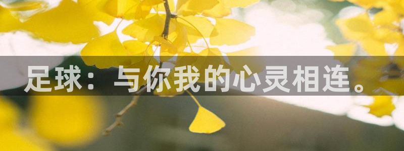 足球：与你我的心灵相连。