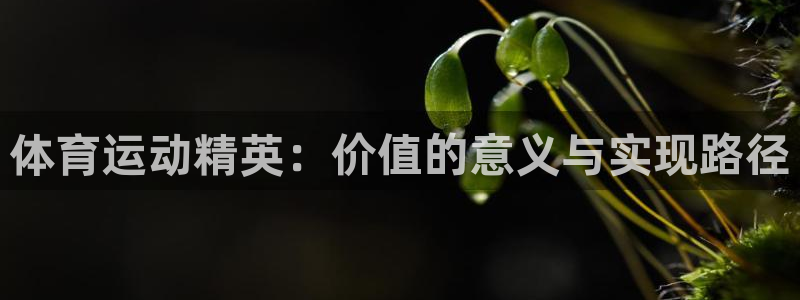 体育运动精英：价值的意义与实现路径